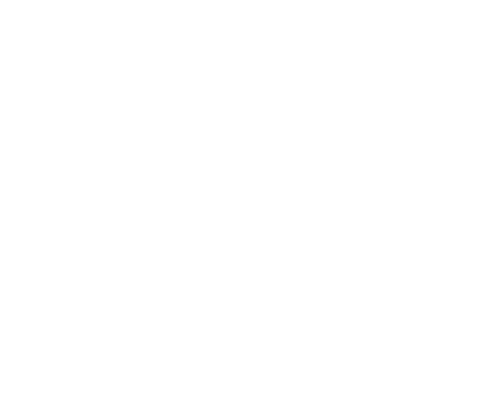 aerodynamics_academy_logoverticalblanco